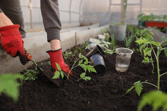 Insecticides