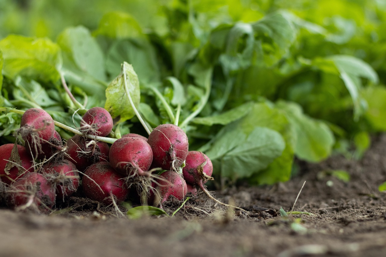 Plant Growth Regulators