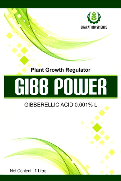 GIBB